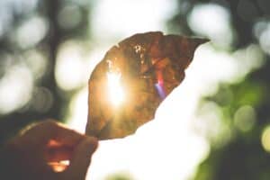 Frasi romantiche al tramonto: cattura l’amore nella luce della sera
